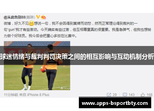 球迷情绪与裁判判罚决策之间的相互影响与互动机制分析