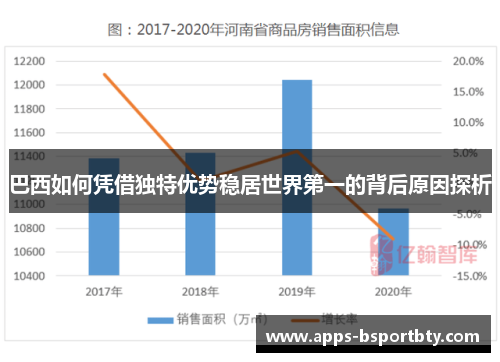 巴西如何凭借独特优势稳居世界第一的背后原因探析