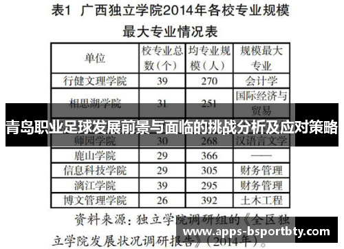 青岛职业足球发展前景与面临的挑战分析及应对策略